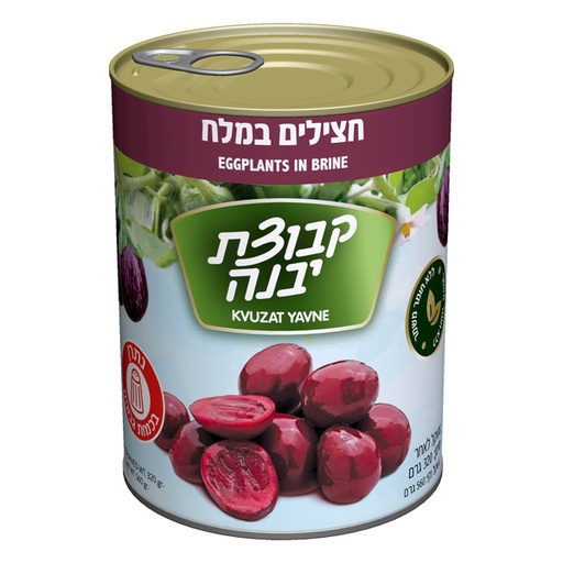 [DRY-0098] Purple Eggplant in Salt Kvutzat Yavne 540 gr