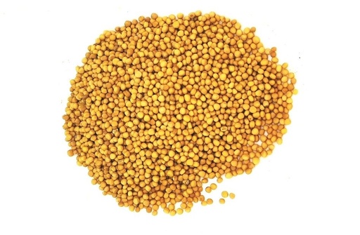 [DRY-1351] Mustard Seeds Taam & Reach 1 kg