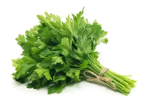 [FRS-0076] Parsley 0.5 kg